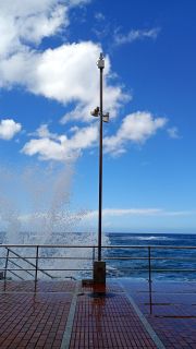 GC-Playa Las Canteras 2026-098.jpg